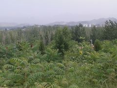 -荆轲塔