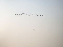 -涿掌柜·涿州宴