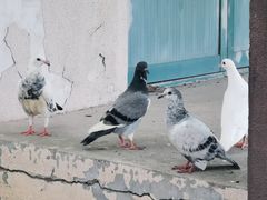 -白塘生态植物园