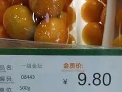 -北京四中(道元校区)