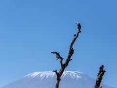 -乞力马扎罗山