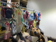-1013 PET SHOP 宠物商店(近铁城市广场店)