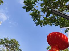 -深圳人才公园