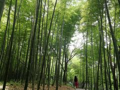 -采石矶景区