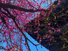 -西安市广仁寺