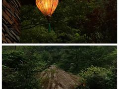 -大九湖