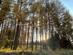 -塞罕坝国家级自然保护区