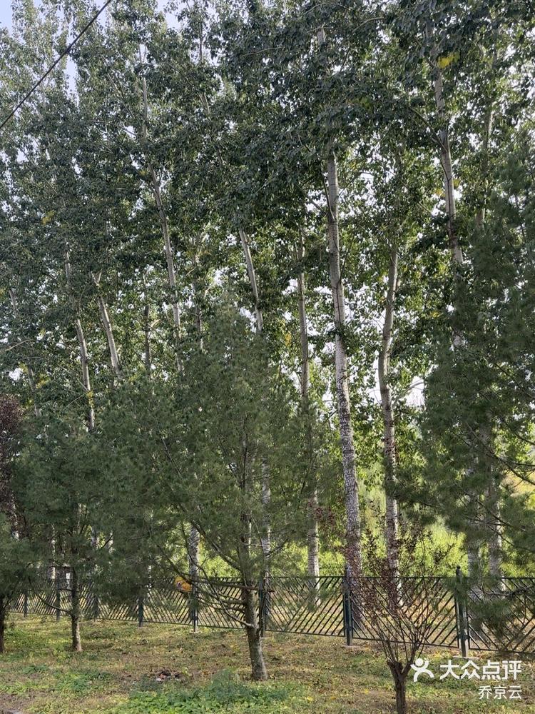 宠物不让进 02白来一趟,友人进去溜达一-大众点评