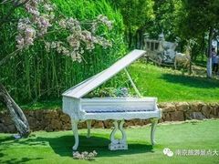 -大塘金香草谷