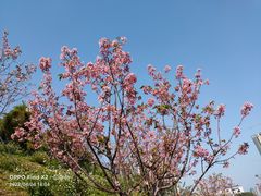 -小南山公园