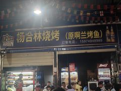 -杨合林啊兰烤鱼