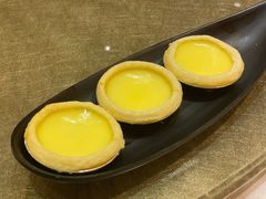 蛋挞-金城大酒店-中餐厅(汾江中路店)