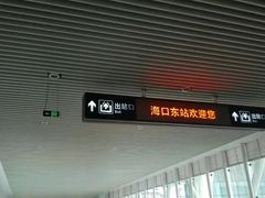 -海口东站