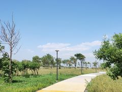 -东堤公园