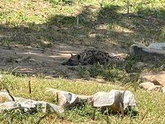 -北京野生动物园