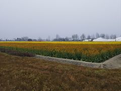 -中国天府农业博览园