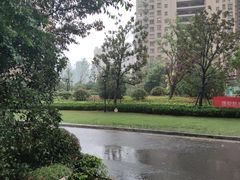 -中南·世纪雅苑