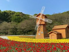 -苏州上方山国家森林公园