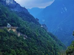 -武陵山森林公园