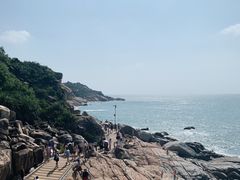 -广东惠东海龟国家级自然保护区
