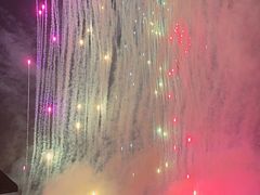 -花博汇(知音花月夜)