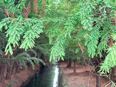 -捞渔河湿地公园