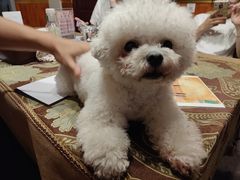 -伽利略剧本探案馆(国贸店)