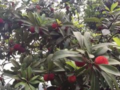 iphone_upload_pic-亮河湾山庄