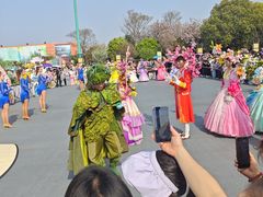 -荷兰花海