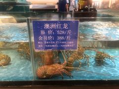 -都市阳光海鲜城(青山湖店)