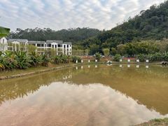 -广州市帽峰山景区