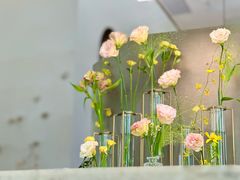 -Tomacado花厨(One ITC店)