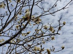 -中国移动南方基地