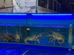 水产区-白沙洲农产品大市场海鲜交易区