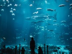-维乐口腔医院(星海湾分院)