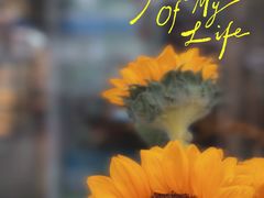 -南京育英第二外国语学校(大厂校区)