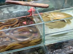 -王四营海鲜市场