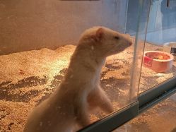 -未来动物城主题公园(正弘城店)