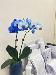 -幼泡泡连锁美容医疗