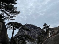 -黄山风景区