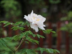 -江南大学(蠡湖校区)
