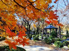 -熙古里艺术村