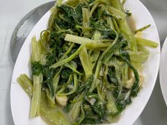 -新陶陶酒家