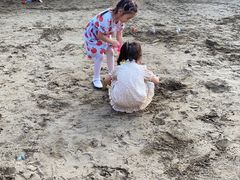 -春花秋色城市公园