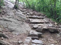 -紫金山山顶公园