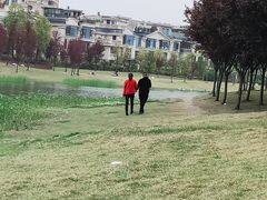 -两河城市森林公园