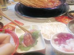 -钢管厂五区小郡肝火锅串串香(总店)