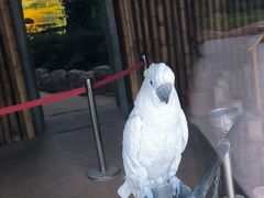 -石家庄市动物园