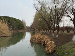 -南湖湿地公园