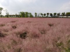 -嘉北郊野公园